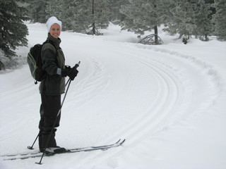 Cross Country Skier