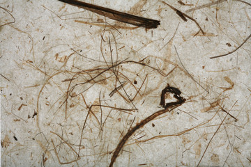 not created abstractions,  lines, patterns: paper structure..