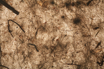 not created abstractions,  lines, patterns: paper structure..