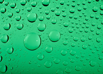 Water drops on green background macro. Shallow DOF..