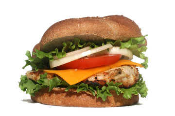 Chicken Burger