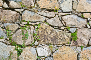A stone wall showing much detail and texture