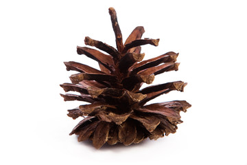 Naklejka na ściany i meble Pinecone on white background