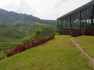 A cafe on the edge of a hill in the Cameron Highlands Malaysia