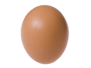 Standing brown egg isolated over the white background