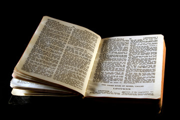 bible series leviticus