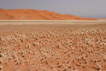 W&uuml;stenlandschaft in Namibia