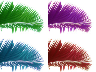 Fototapeta na wymiar palmes multicolores