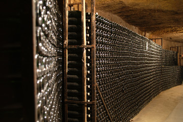 cave à vin 6