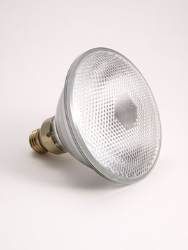 Outdoor Utility Bulb front