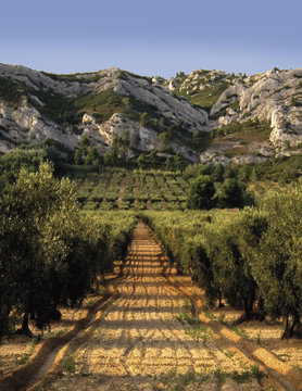 france provence bouches du rhone provence 