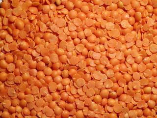 Red lentils