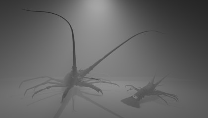 lobsters
