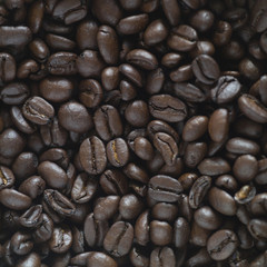 Fototapeta premium studio close up of hundreds of coffee beans