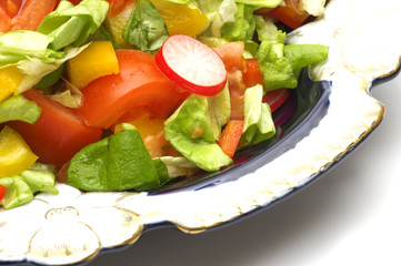 salad on white background