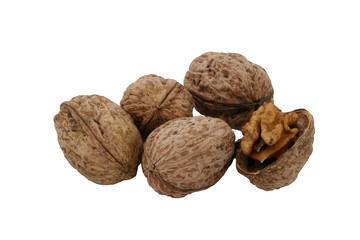 walnuts