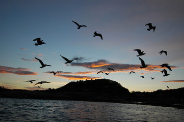 Sunrise in Norway