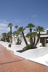 Fototapeta na wymiar a holiday resort on the island Lanzarote