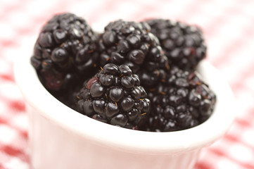 Blackberries in a Small Bowl