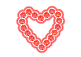 Heart from roses