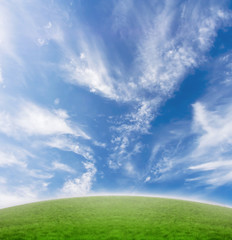 Beautiful nature background with green grass and blue sky