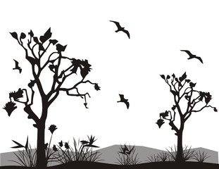 vector nature illustration