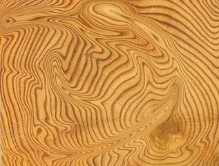 close-up wooden cut texture