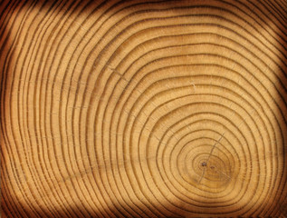 close-up wooden cut texture
