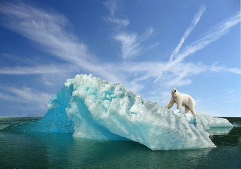 fonte des glaces