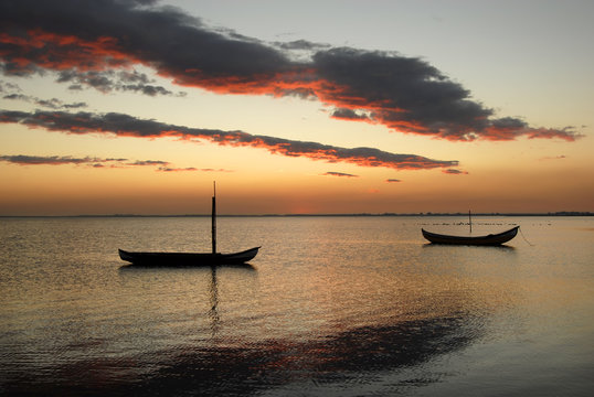 small moliceiro portuguese boats on the sunset