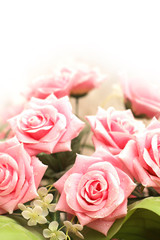 Wedding and Valentine concept with many pink roses