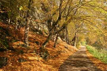 Fototapeta premium Road along the river