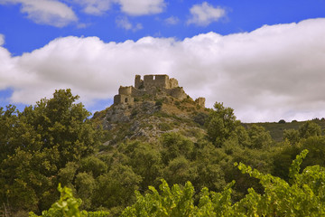 roussillon : chateau cathare d'aguilar