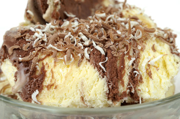 Close-up of vanilla & chocolate ice-cream in cup.