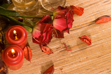 scarlet sweetheart rose and champagne