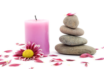 zen spa stones with flowers studio isolated