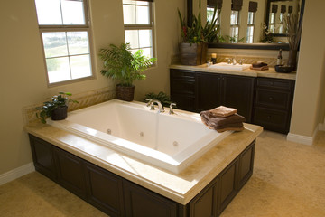 Luxurious bathtub with plants and other decor.