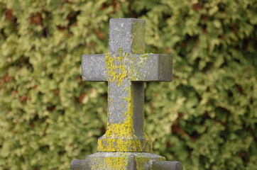 Moss covered cross