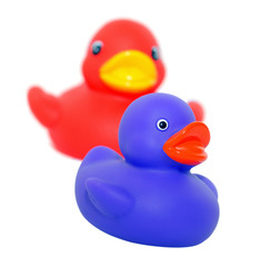 Two rubber ducks, with shallow DOF, focus on front duck.