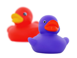 Isolated shot of two rubber ducks, focus on front duck.