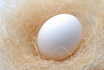 Chicken egg in a light colored nest.