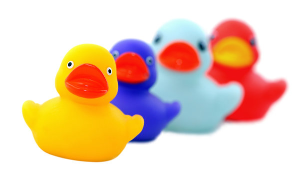 Isolated shot of four rubber ducks, focus on front duck.