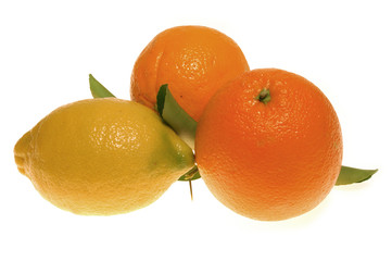 Naranjas y limón