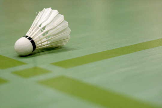 Badminton Federball