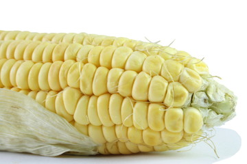A corn on the cob