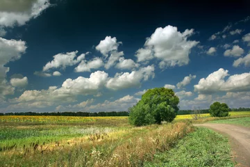 Foto op Canvas Summer landscape © Фотобанк BFoto.ru