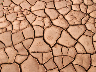 trockenheit