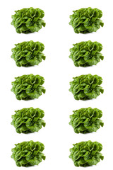 Poster de salade