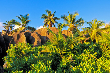 rochers des seychelles © Pat on stock