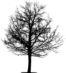 Vector tree